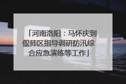 河南洛阳：马怀庆到偃师区指导调研防汛综合应急演练等工作