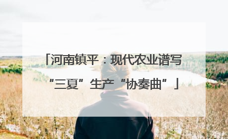 河南镇平：现代农业谱写“三夏”生产“协奏曲”