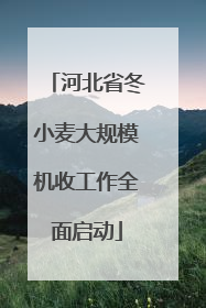 河北省冬小麦大规模机收工作全面启动