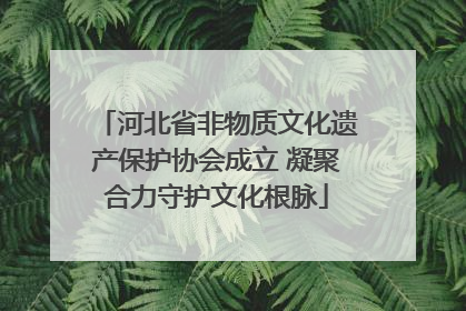 河北省非物质文化遗产保护协会成立 凝聚合力守护文化根脉