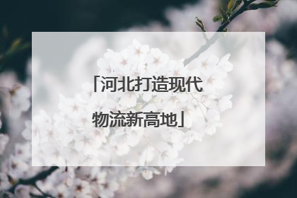 河北打造现代物流新高地