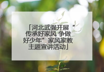 河北武强开展“传承好家风 争做好少年”家风家教主题宣讲活动