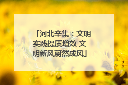 河北辛集：文明实践提质增效 文明新风蔚然成风