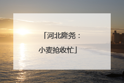 河北隆尧：小麦抢收忙