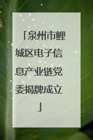 泉州市鲤城区电子信息产业链党委揭牌成立