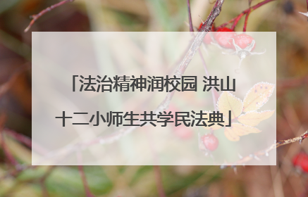 法治精神润校园 洪山十二小师生共学民法典