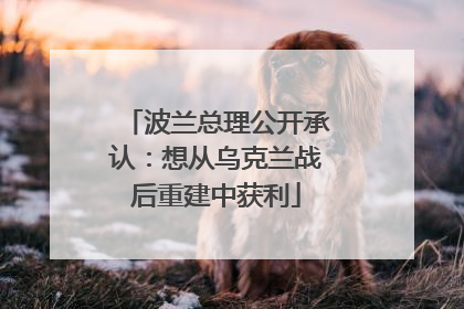波兰总理公开承认：想从乌克兰战后重建中获利