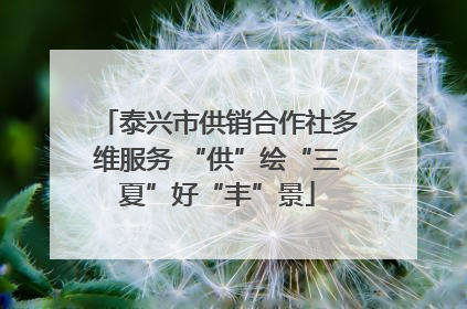 泰兴市供销合作社多维服务 “供”绘“三夏”好“丰”景