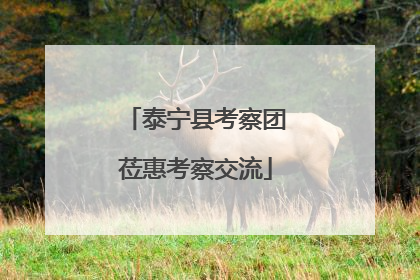 泰宁县考察团莅惠考察交流
