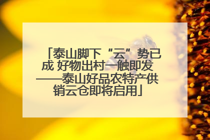 泰山脚下“云”势已成 好物出村一触即发——泰山好品农特产供销云仓即将启用