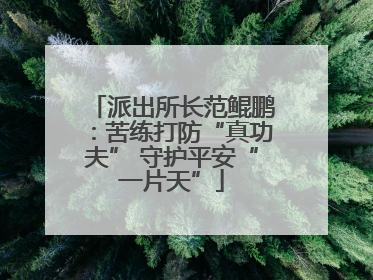 派出所长范鲲鹏：苦练打防“真功夫” 守护平安“一片天”