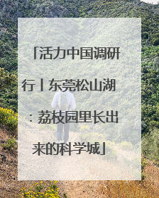 活力中国调研行丨东莞松山湖：荔枝园里长出来的科学城