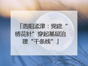 洛阳孟津：党建“绣花针”穿起基层治理“千条线”