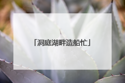 洞庭湖畔造船忙