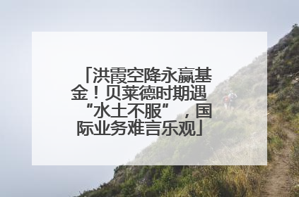 洪霞空降永赢基金！贝莱德时期遇“水土不服”，国际业务难言乐观