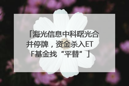 海光信息中科曙光合并停牌，资金杀入ETF基金找“平替”