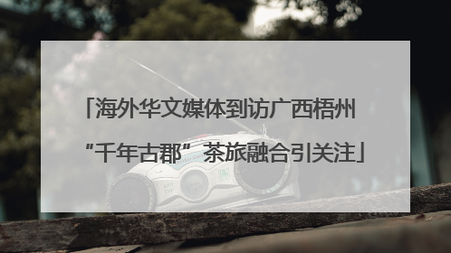 海外华文媒体到访广西梧州 “千年古郡”茶旅融合引关注