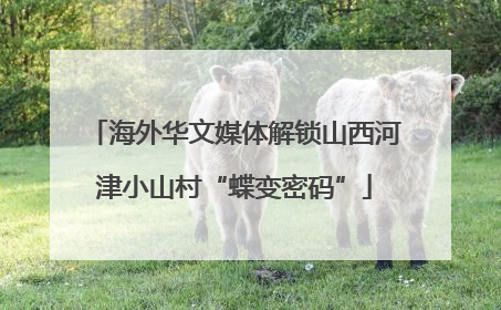 海外华文媒体解锁山西河津小山村“蝶变密码”