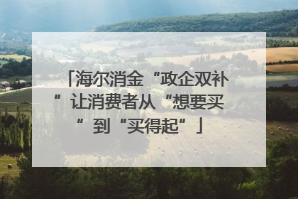 海尔消金“政企双补”让消费者从“想要买”到“买得起”