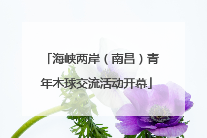 海峡两岸（南昌）青年木球交流活动开幕