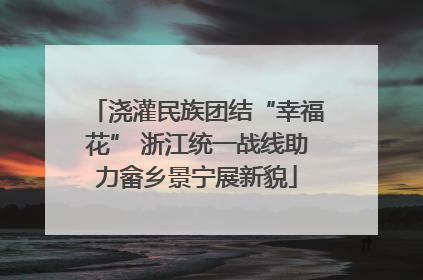 浇灌民族团结“幸福花” 浙江统一战线助力畲乡景宁展新貌