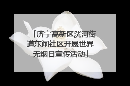 济宁高新区洸河街道东闸社区开展世界无烟日宣传活动