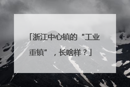 浙江中心镇的“工业重镇”，长啥样？