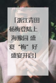 浙江青田杨梅登陆上海豫园 盛夏“梅”好盛宴开启