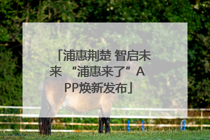浦惠荆楚 智启未来 “浦惠来了”APP焕新发布