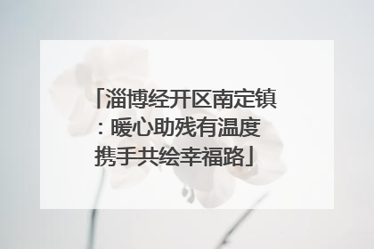 淄博经开区南定镇：暖心助残有温度 携手共绘幸福路