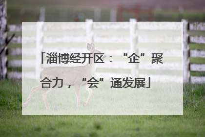 淄博经开区：“企”聚合力，“会”通发展