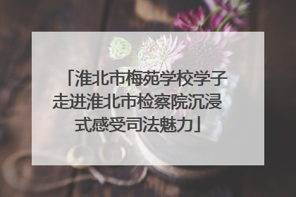 淮北市梅苑学校学子走进淮北市检察院沉浸式感受司法魅力