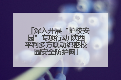 深入开展“护校安园”专项行动 陕西平利多方联动织密校园安全防护网