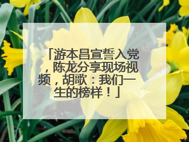 游本昌宣誓入党，陈龙分享现场视频，胡歌：我们一生的榜样！