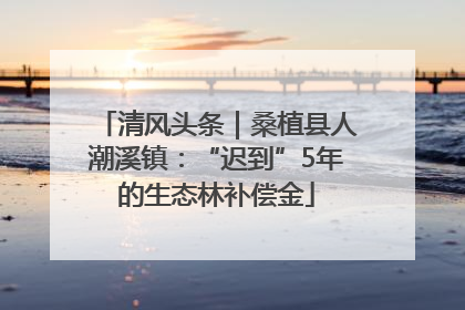 清风头条｜桑植县人潮溪镇：“迟到”5年的生态林补偿金