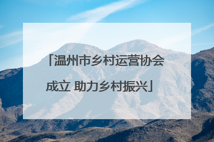 温州市乡村运营协会成立 助力乡村振兴