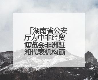 湖南省公安厅为中非经贸博览会非洲驻湘代表机构颁发登记证书