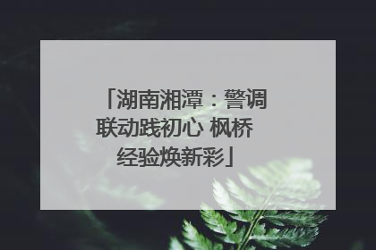 湖南湘潭：警调联动践初心 枫桥经验焕新彩