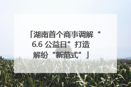 湖南首个商事调解“6.6 公益日”打造解纷“新范式”