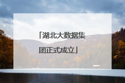 湖北大数据集团正式成立