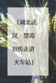 湖北武汉：禁毒宣传走进火车站
