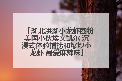 湖北洪湖小龙虾圈粉美国小伙埃文凯尔 沉浸式体验捕捞和爆炒小龙虾 最爱麻辣味