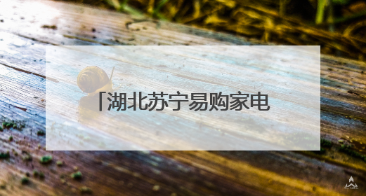 湖北苏宁易购家电惠民季正式启动