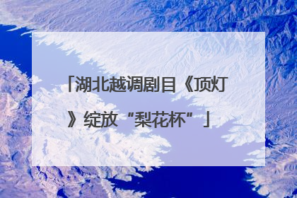 湖北越调剧目《顶灯》绽放“梨花杯”