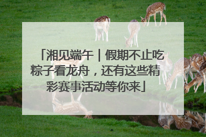 湘见端午｜假期不止吃粽子看龙舟，还有这些精彩赛事活动等你来