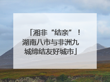 湘非“结亲”！湖南八市与非洲九城缔结友好城市