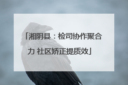 湘阴县：检司协作聚合力 社区矫正提质效