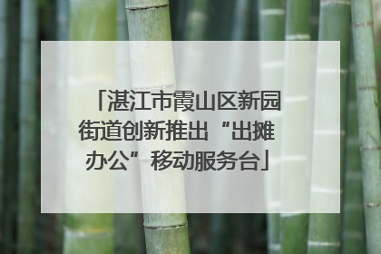 湛江市霞山区新园街道创新推出“出摊办公”移动服务台