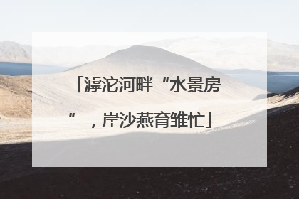 滹沱河畔“水景房”，崖沙燕育雏忙