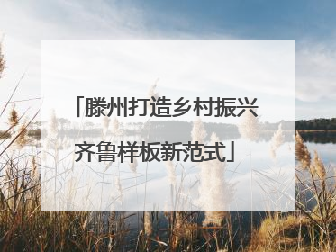 滕州打造乡村振兴齐鲁样板新范式